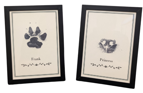 Framed Ink Print