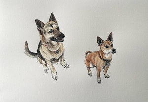 Hand-Painted Watercolor Pet Portrait